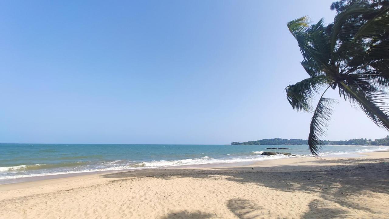 Surf Beach Hotel Arugam Bay Dış mekan fotoğraf