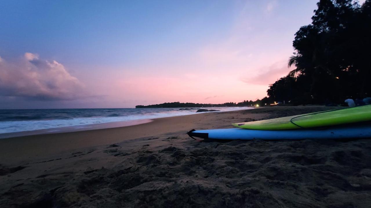 Surf Beach Hotel Arugam Bay Dış mekan fotoğraf